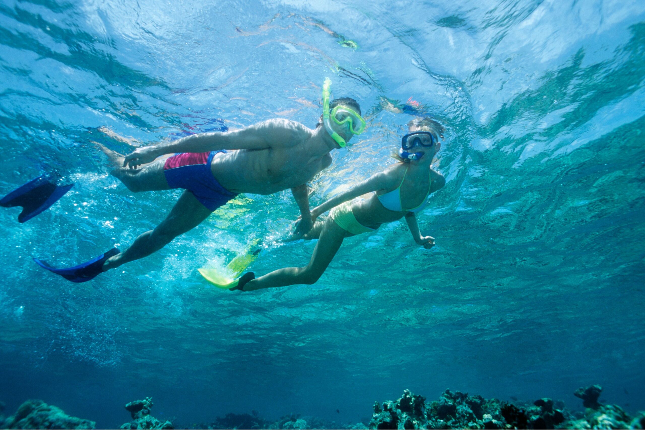 Snorkelling tours from Medulin
