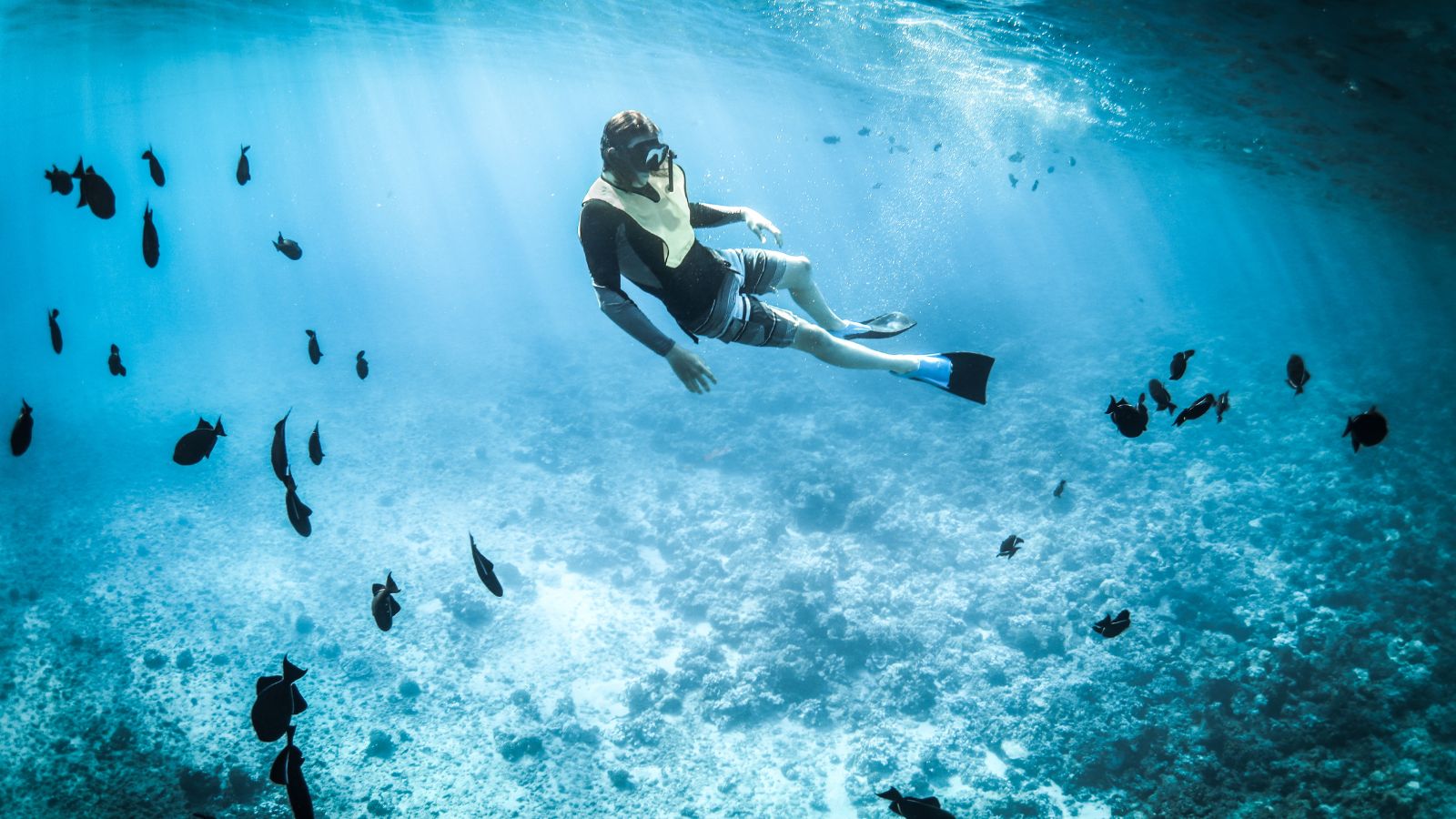 snorkelling-tours